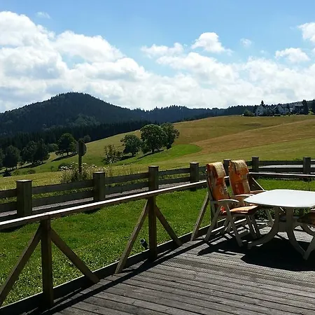 Chalet 度假居 Gehlberg